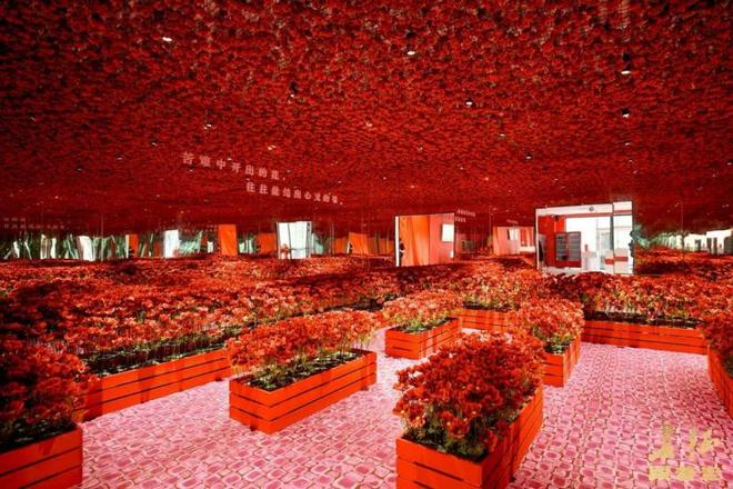 致敬革命理想接受精神洗礼《跟着走·长征》行进式VR沉浸体验启幕(图5)