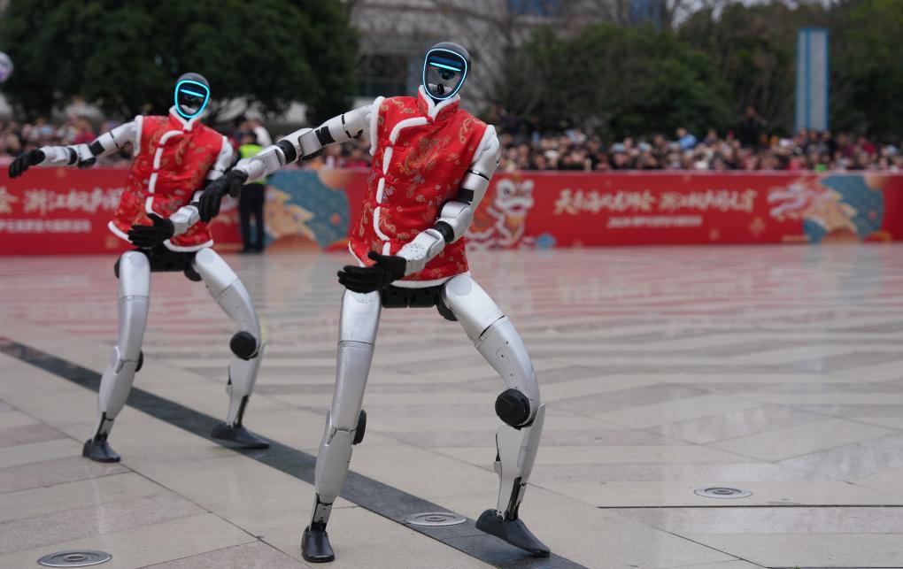 两会看“新”丨人形机器人从“会表演”加速迈向“能干活”(图1)