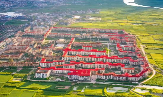 产业观察_中研普华行业研究网(图11)