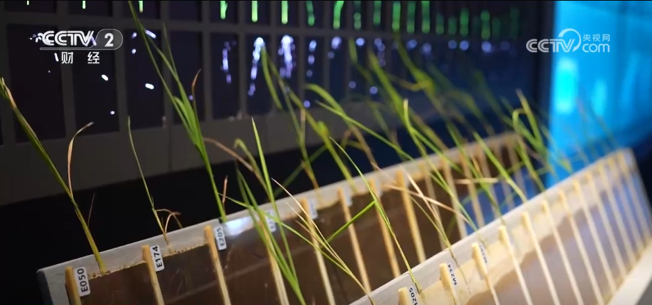 拯救夏日好奇心！这个暑假与科技来一次亲密接触(图5)