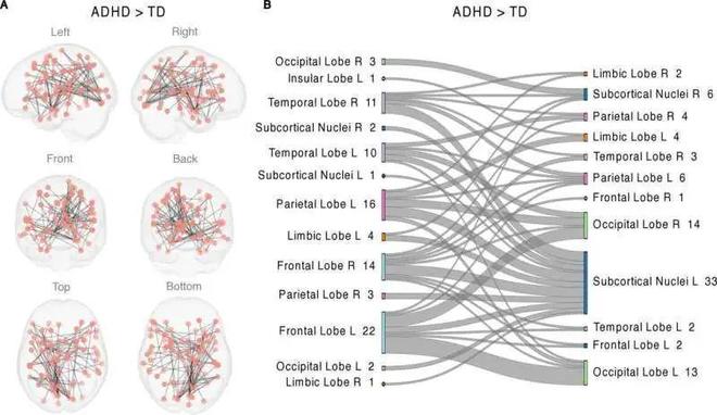 我竟然在小学5年级的暑假作业里发现了VRAR行业的希望(图9)