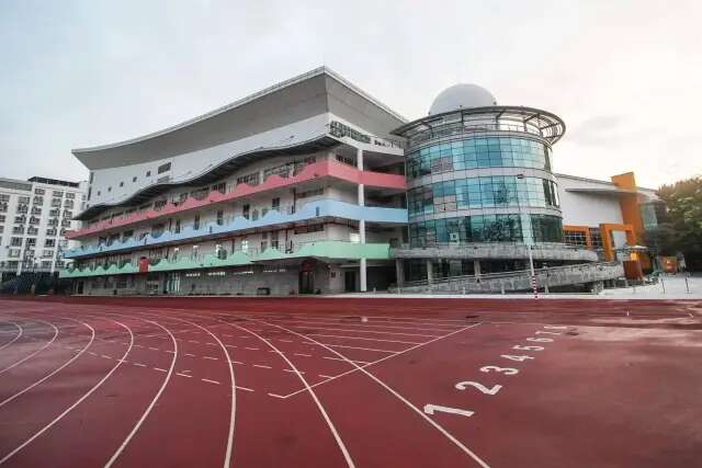 湾区追梦精彩绽放——写在残特奥会开幕倒计时100天之际(图3)