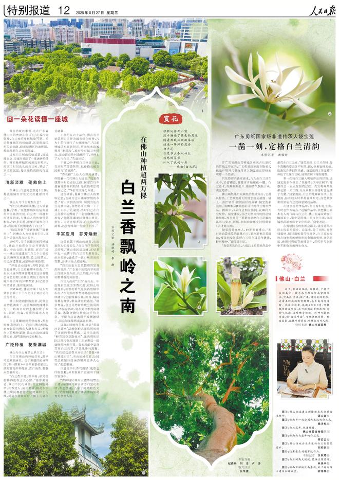 人民日报上的视觉版·2025年8月份合辑(图16)