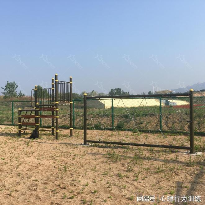 心理行为训练场设施建设白皮书(图2)