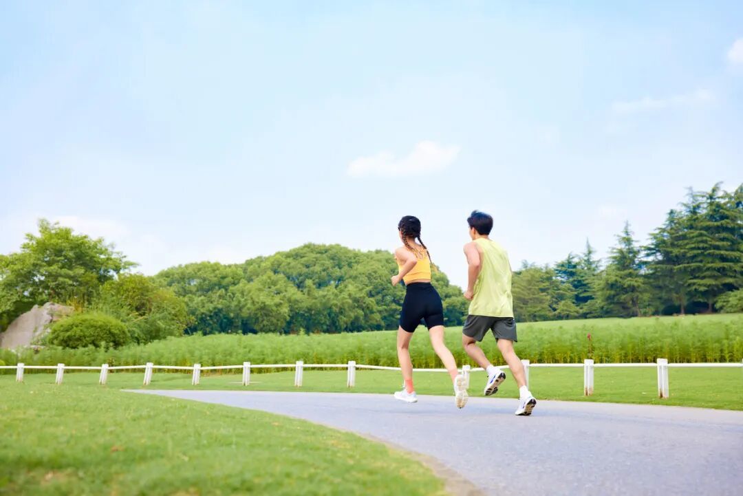 总投资近3亿！莱西拟建体育中心(图1)