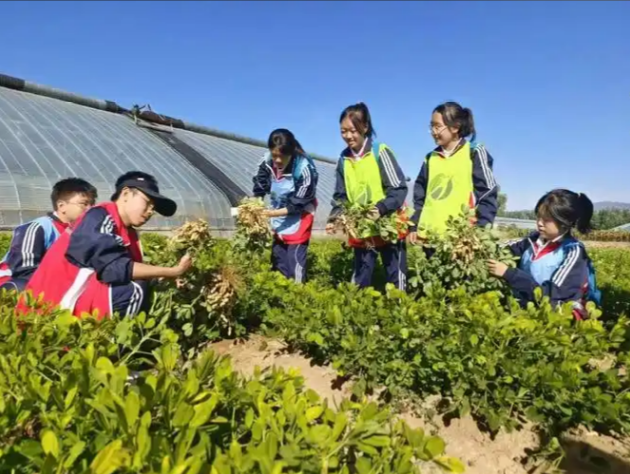 解码冬奥之城研学经济新赛道(图2)