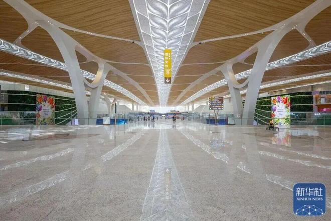 严抓违停！查扣3万辆电鸡！广州全运会备战升级(图9)