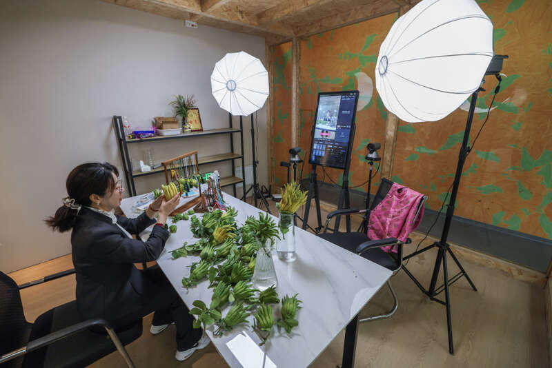 “十五五”规划建议诞生记(图6)