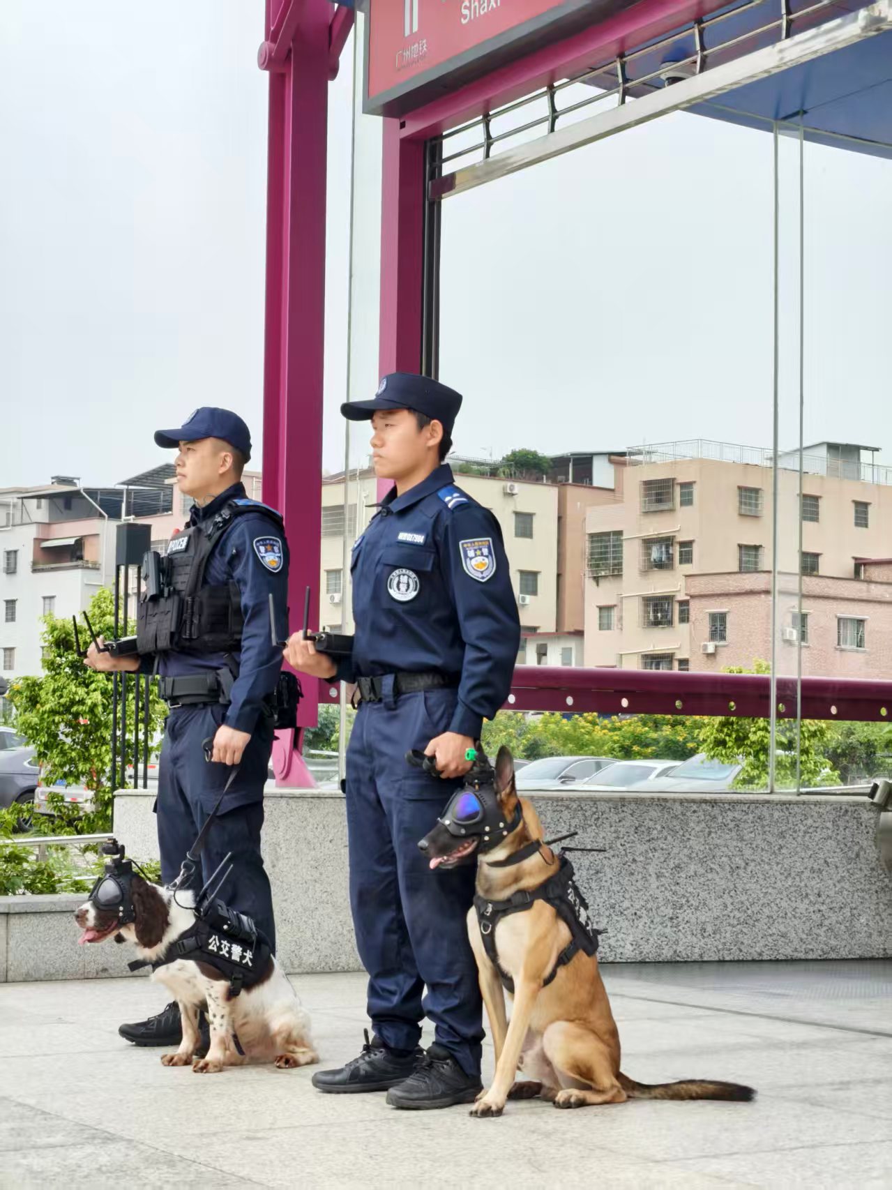第十五届全运会幕后“守护者”：以匠心铸盛会以坚守护荣光(图4)