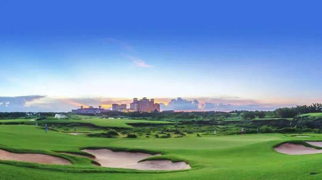 封关倒计时这家企业把政策红利讲透了！(图4)