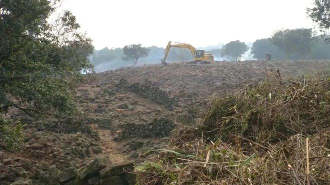 封关倒计时这家企业把政策红利讲透了！(图3)