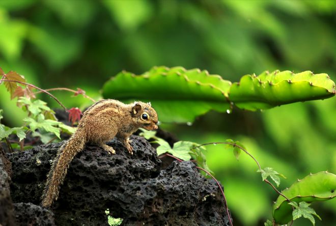 封关倒计时这家企业把政策红利讲透了！(图1)