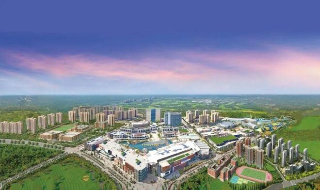 封关倒计时这家企业把政策红利讲透了！(图5)