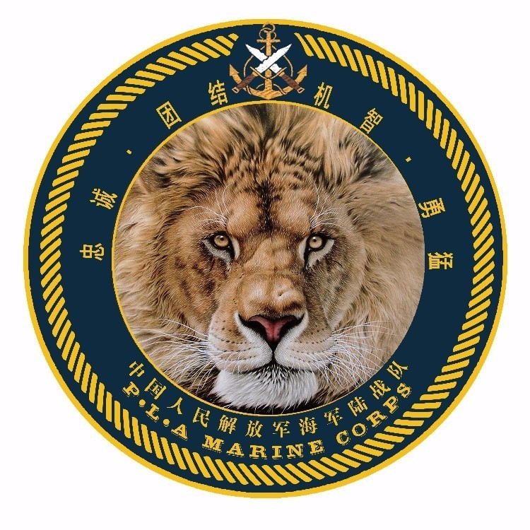 【新视角】用VR拍一部片子致敬这些雄狮般的军人！(图3)