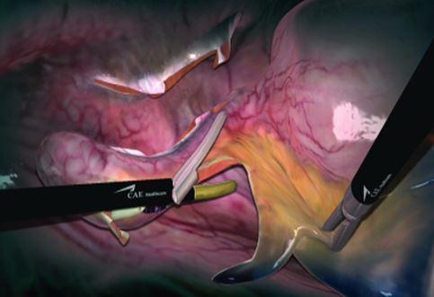 国家哨点省级重点两上央视：这家三甲眼科医院在行业结构性变革中破局进击