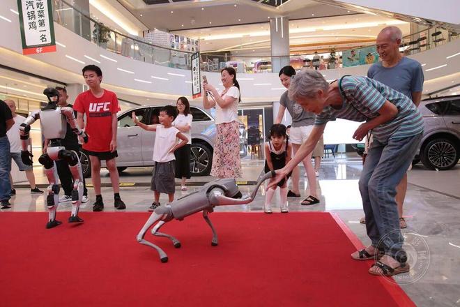 李亚隆:韧性2025(图28)