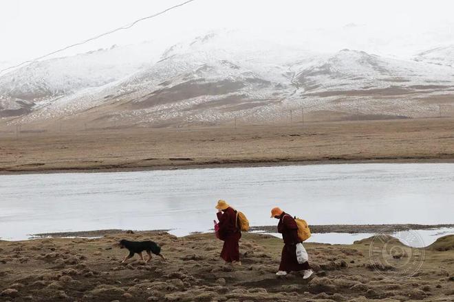 李亚隆:韧性2025(图20)