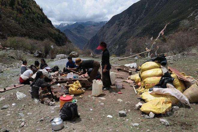 李亚隆:韧性2025(图17)