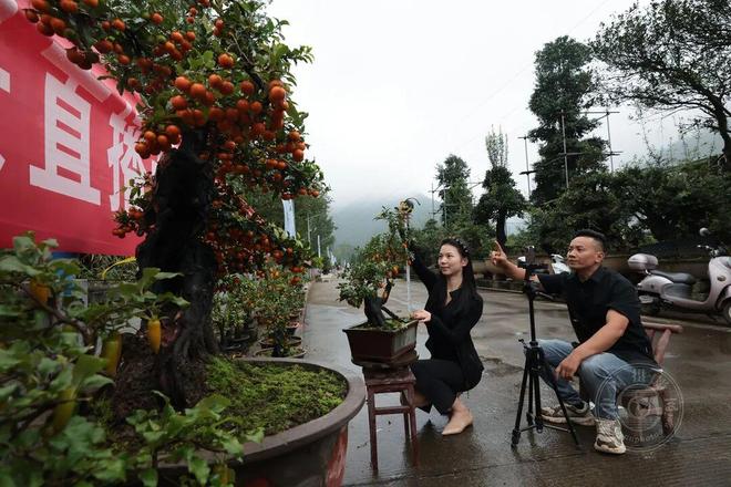 李亚隆:韧性2025(图40)