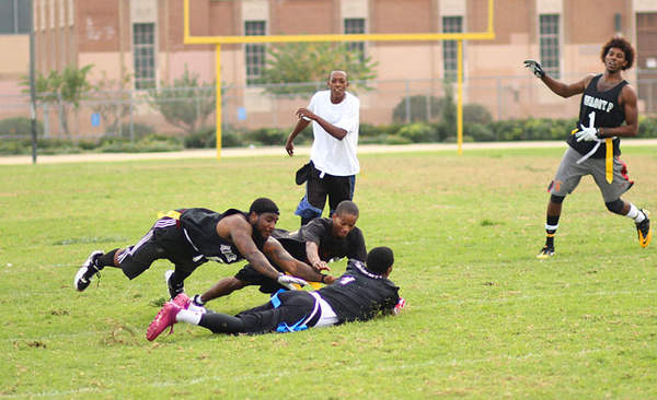 河北竞技体育实力强势跃升(图1)