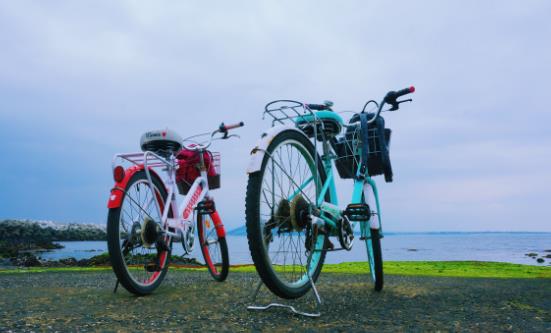 2026自行车市场发展现状调研及未来趋势预测