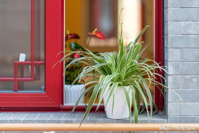 2026年北康养颐寿轩福寿敬老院收费标准8800元起价格地址电话