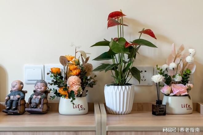 2026年北康养颐寿轩福寿敬老院收费标准8800元起价格地址电话(图3)