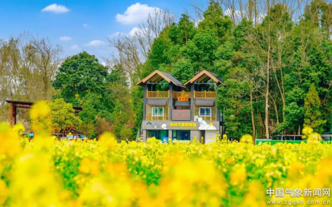 “十四五”发展成效丨给科学以温度 予防灾以广度——“十四五”气象科普发展成效显著(图5)