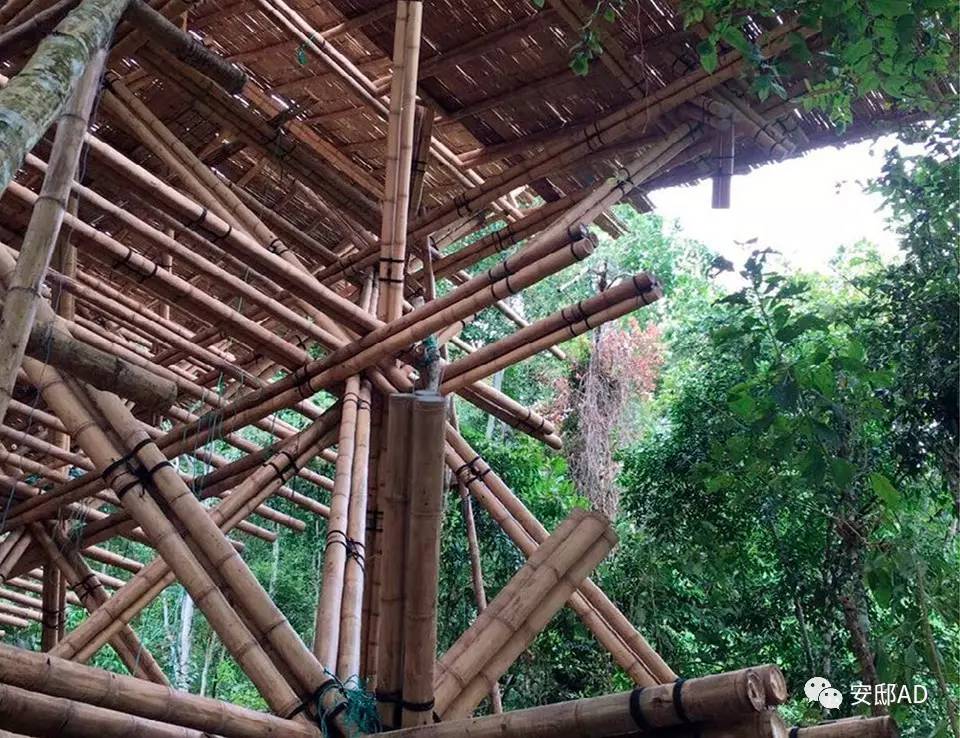 第三届AD100榜单即将揭晓 北京设计分享会(图32)